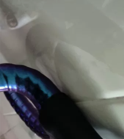 喜德盛公路自行车RC500,禧玛诺16速 ...