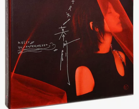 正版唱片 于文文 幕间剧 CD+歌词本 华...