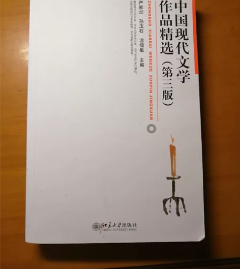 中国现代文学作品精选 严家炎,孙玉石,温儒...