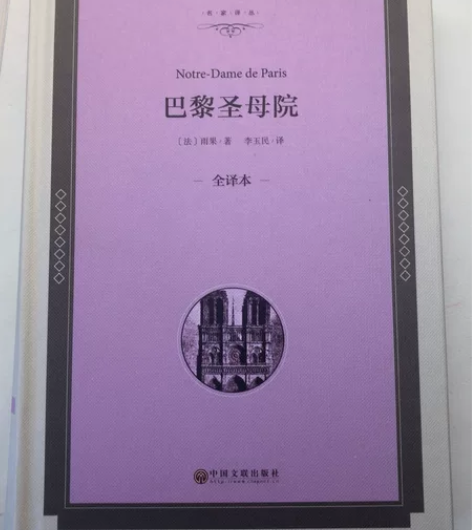 巴黎圣母院全新未看过 30半包邮出 售出不...