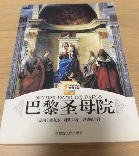《巴黎圣母院》内蒙古人民出版社 自购正版闲...