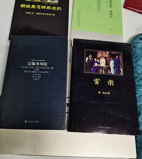 《雷雨》《巴黎圣母院》《钢铁是怎样炼成的》...