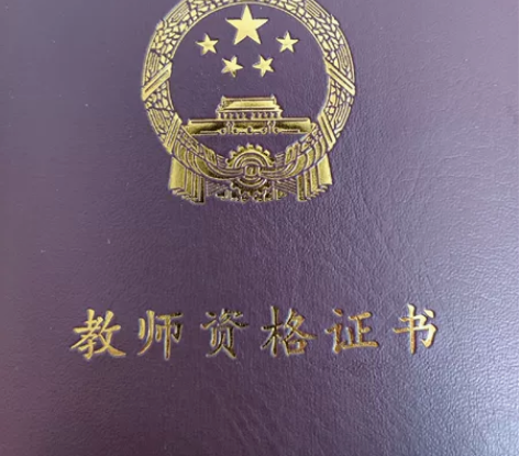 高中历史，政治辅导 辅导经验丰富，曾经带过...