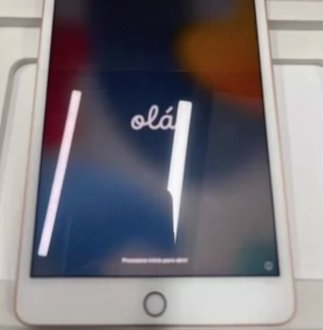 iPad mini4 7.9英寸 苹果/平...