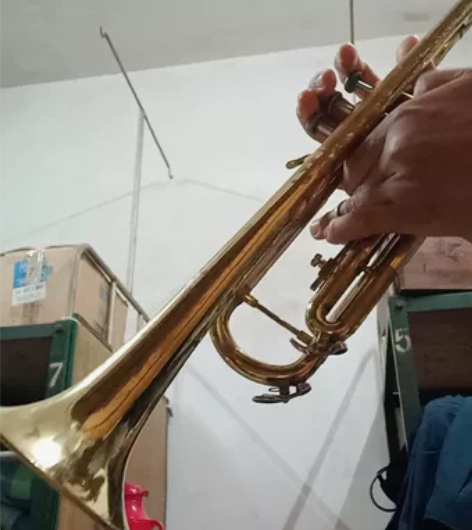 巴哈小号,型号TR200雕花版,半裸铜状,...