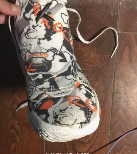 安踏kt5宠物狗 规格尺寸：44 入手渠道...