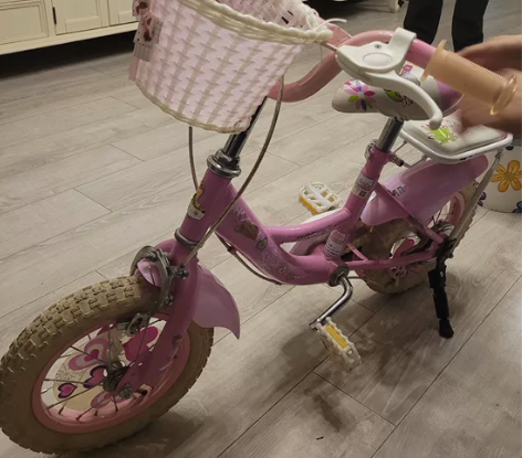 闲置正品凤凰儿童2-6岁8成新自行车，自带...