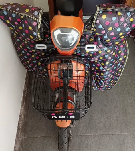 飞鸽新国标电车48V电动车小型亲子代步电瓶...