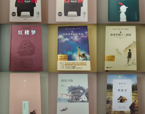 文学小说 书本保存完整 几乎没有翻动痕迹 ...