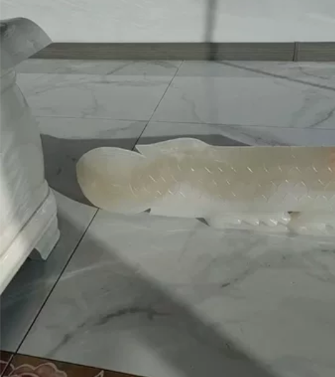 整块阿富汗玉雕的银龙鱼，喜欢的留言或私信我...