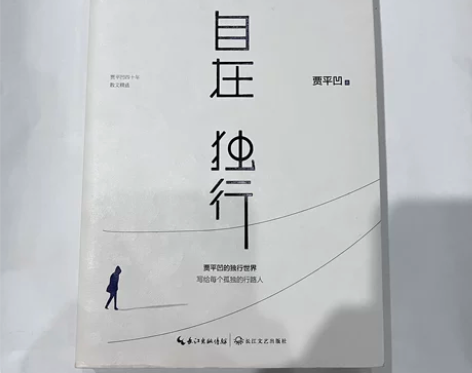 【正版书籍】 贾平凹 大冰 [闪亮]自在独...
