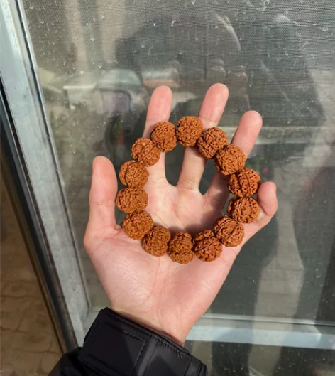 古龙大梅花21尺  不想玩了1300实体店...