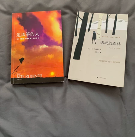 两本书 挪威的森林 追风筝的人 从书店买的...