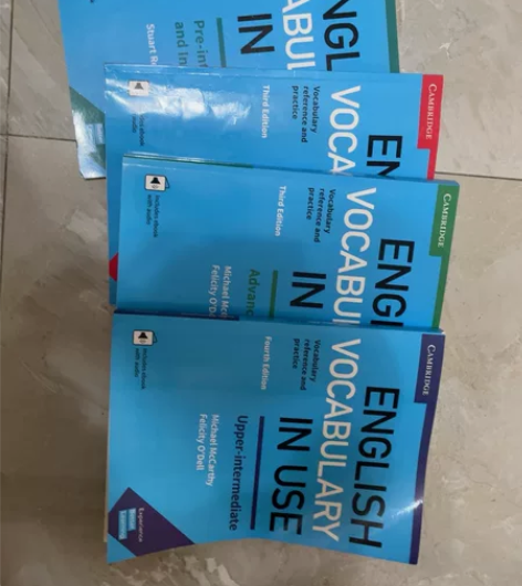 vocabulary in use英语学习...