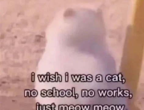 英专研究生接考研英语 1对1辅导 考研英语...