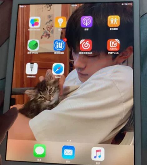 Ipad mini1白色16g，港版无id...