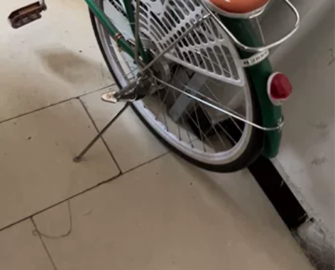 上海凤凰车件有限公司自行车女式轻便成年人代...