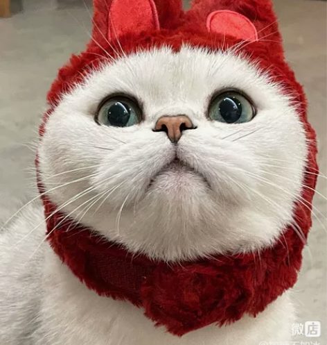 350收一套全新的内蒙古北斗神拳完全版 感...