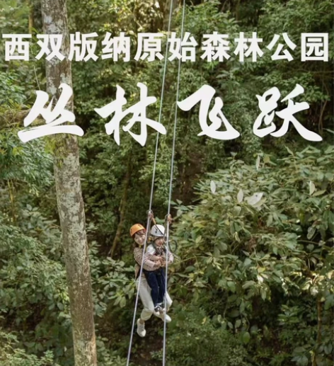 森林公园丛林飞跃优惠套餐: B段套票350...