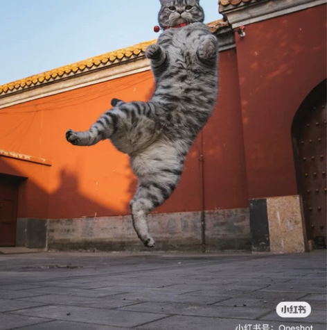 北京故宫导游讲解，VIP私家小包团，一对一...