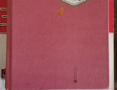 《巴黎圣母院》人民文学出版社 只写了名字几...