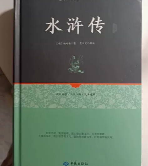 水浒传  正版原著 感兴趣的话点“我想要”...