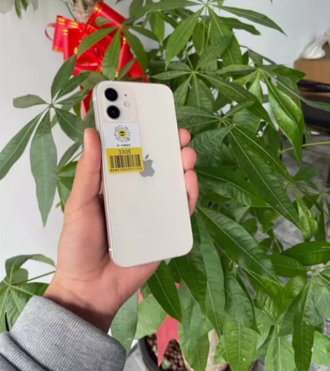 苹果12 国行128G 无面容无面容 成色...