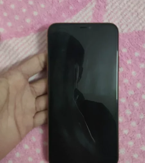 自用苹果11Promax256g内存，过年...