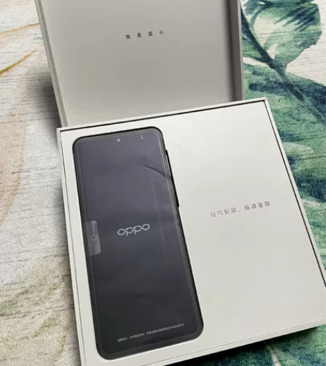 oppo findn2flip8+256 ...