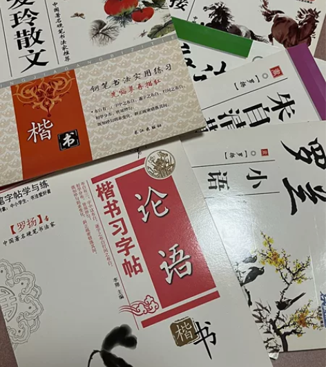 闲置中小学生楷书字帖空白 题材丰富：成语、...