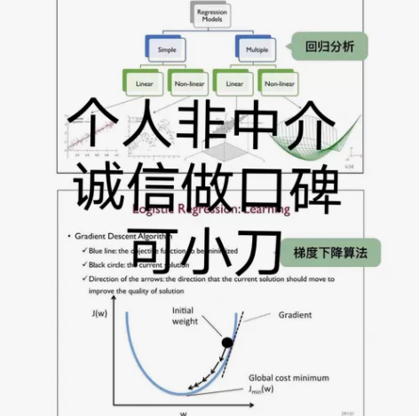 留学生英文Python一对一 R语言 Ja...