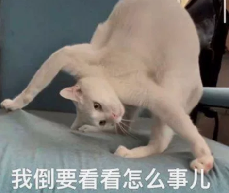 承接公务员培训[呲牙]国考省考都可以 两年...