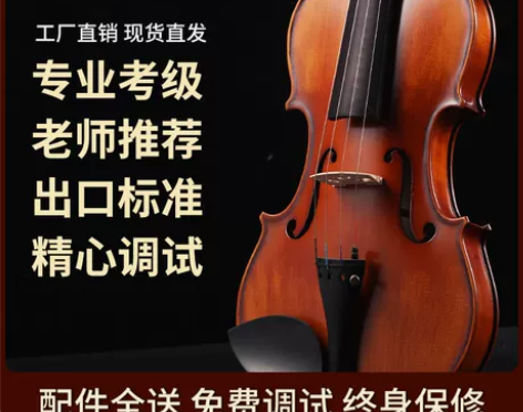 Saphony小提琴儿童成人初学者学生练习...