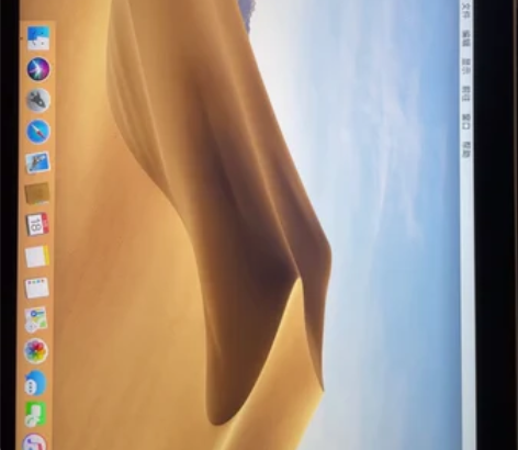 苹果笔记本macbook(early 20...