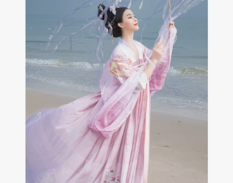 出五五年风云归汉服 重工刺绣唐制齐胸大袖衫...