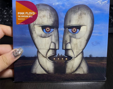 平克 Pink Floyd The Div...