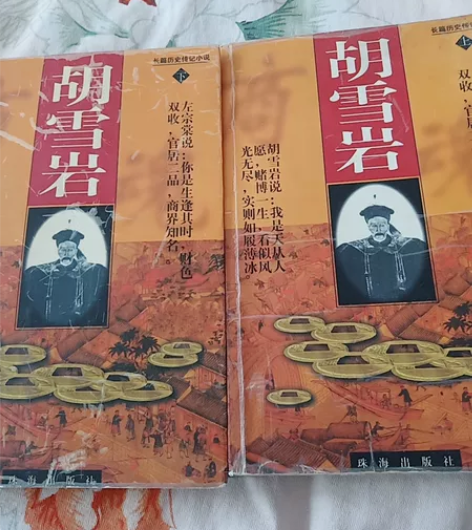 胡雪岩  长篇历史小说 感兴趣的话点“我想...