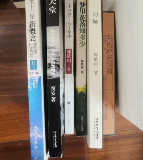 郭敬明 《梦里花落知多少》《幻城》《悲伤逆...
