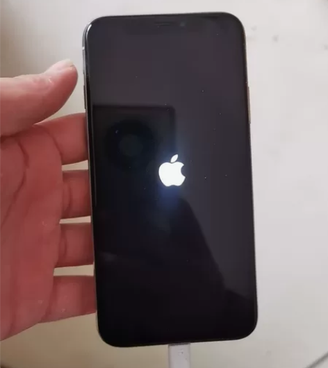 iPhoneX 64 国航 深感摄像头坏了...
