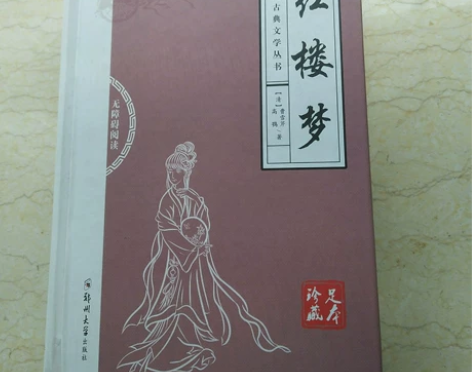 出红楼梦,有名字不介意的话可以用,笔记可以...
