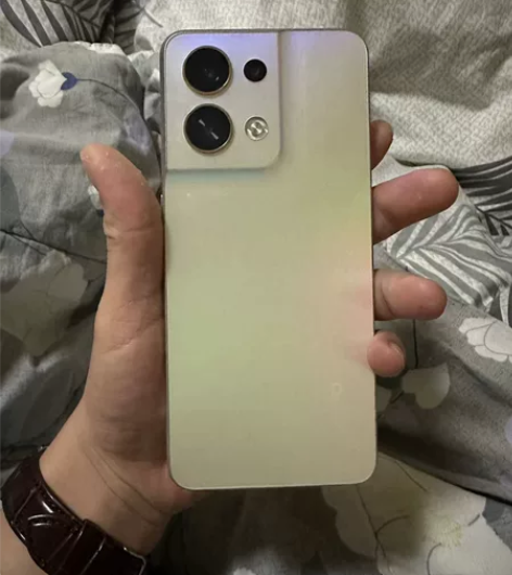 OPPO  Reno8  8256 去年在...