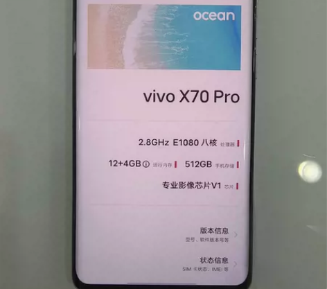 vivo X70Pro 12+512 原装...