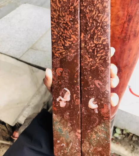 古生物化石镇纸一对。 规格:26.2/4....