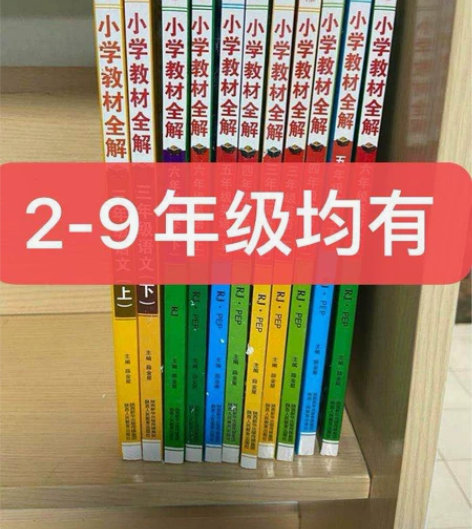 全新新版2023版小学初中教材全解薛金星人...