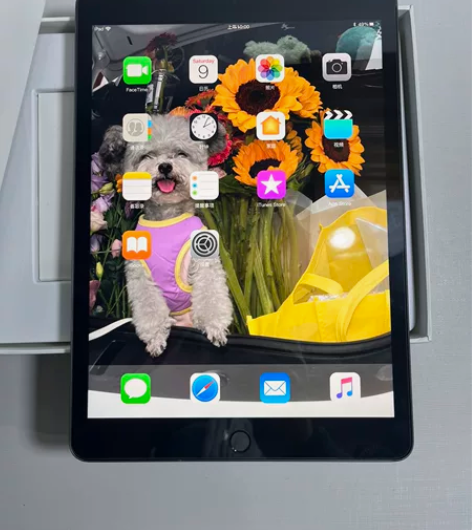iPad第九代2021款256G 插卡+W...