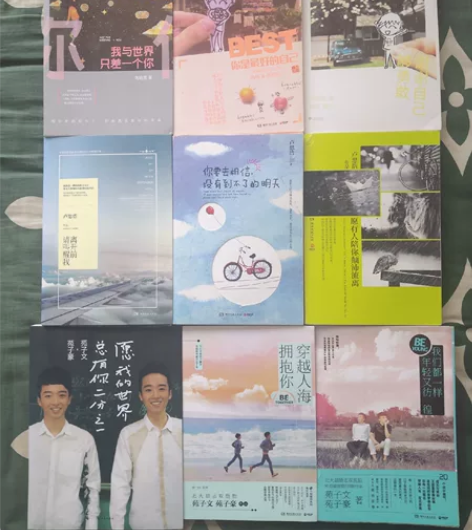 出以下小说书籍,不保正品不介意的来 借ta...