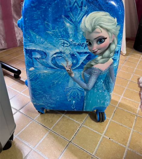 万向轮20寸儿童女孩拉杆箱密码旅行箱冰雪奇...
