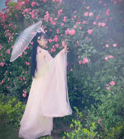 包邮游园惊梦汉服 异色凤求凰 子颂东方美学...