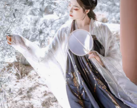 转卖【艺缕原创一云鹤】汉服女齐胸襦裙大袖衫...