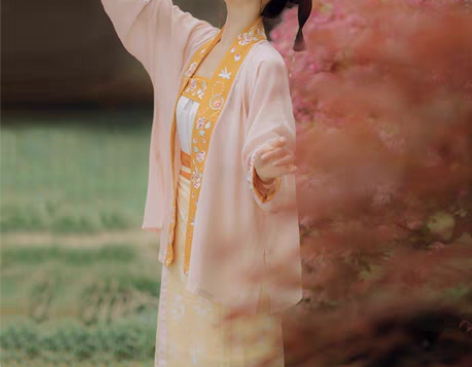 转卖仙楚姬原创汉服女正品【初欢】宋制对襟飞...